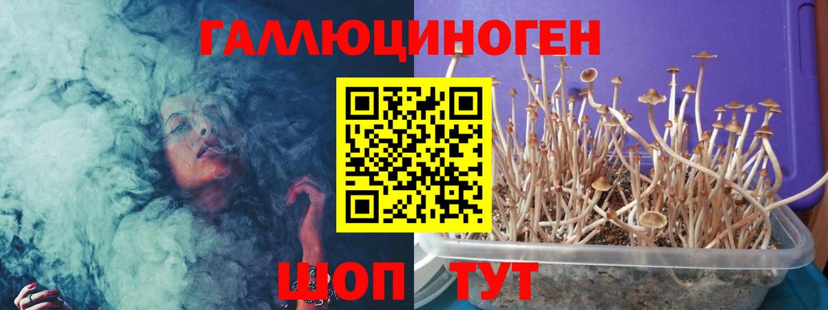 Бошки Шишки  Cocaine  Малгобек  Лсд 25  Вход с VPN  Мефедрон  МЕФ  