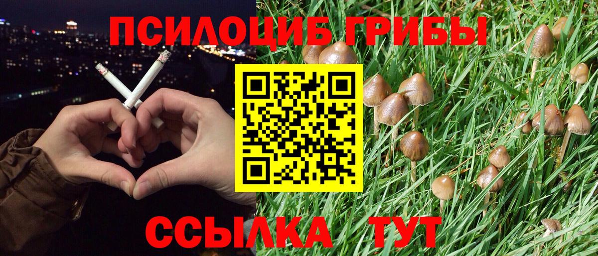 Малгобек  Псилоцибиновые грибы Magic Shrooms  где можно купить наркотик  Вход с VPN 